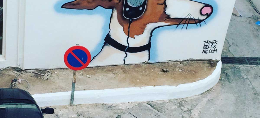 Podenco